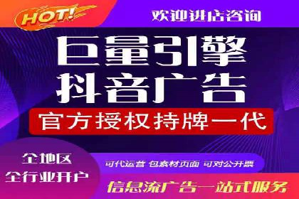 百度优化推广案例：打造行业领先品牌
